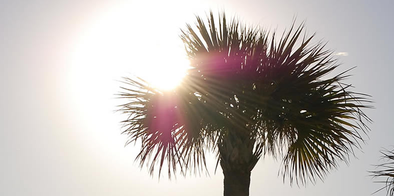 Opnieuw naar Ellenton Premium Outlets Florida