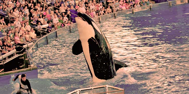 SeaWorld Orlando Florida